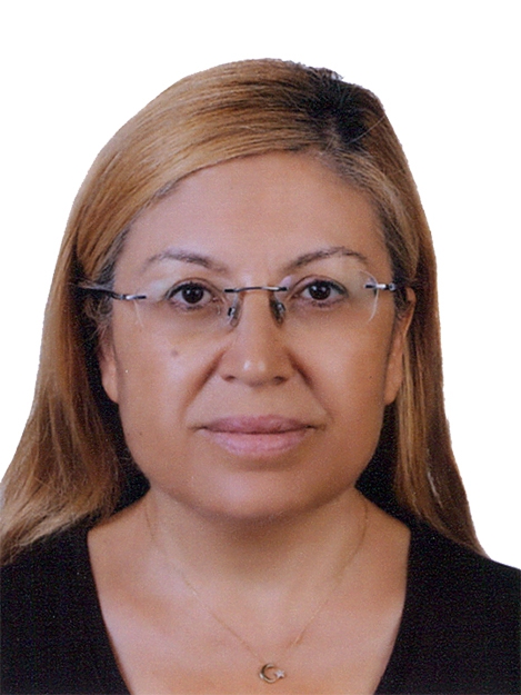 SONGÜL KARA KİMDİR? / İBB. MECLİS ÜYESİ