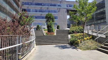 İstanbul Göç İdaresi Başkanlığı Nerede, İletişim Numarası