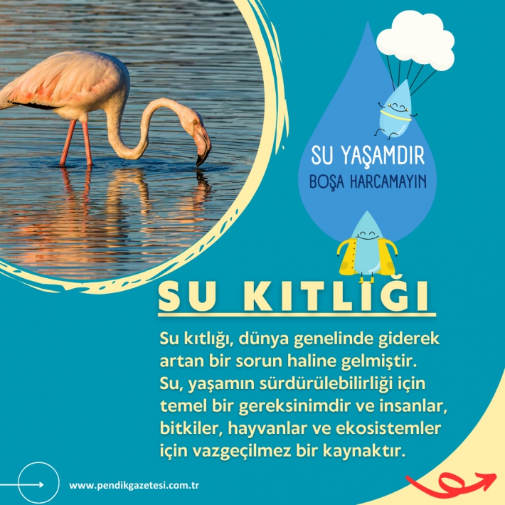 Su Kıtlığının Temel Nedenleri