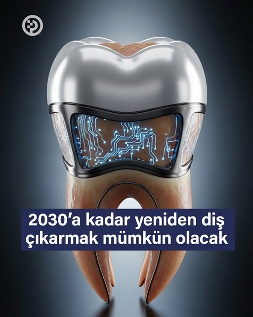 2030’da Dişler Yeniden Çıkacak: TRG-035 İlaç Umudu