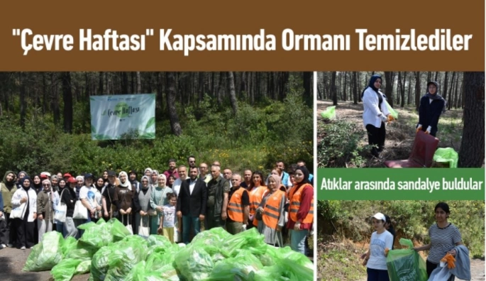 Aydos Ormanı’nda Çevre Haftası Temizliği Düzenlendi