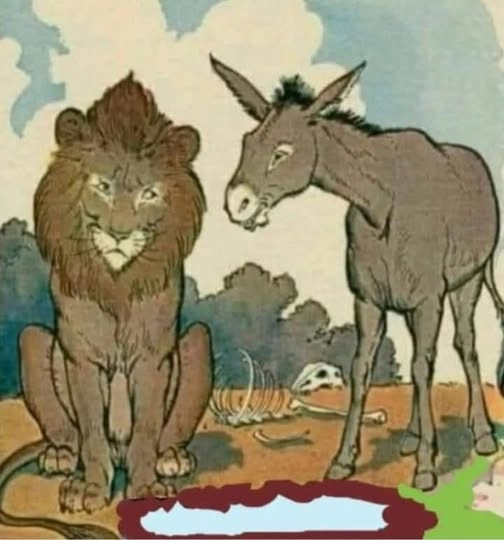 Boşa Harcanan Zamanın Dersleri
