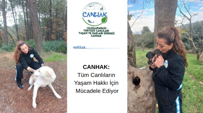 CANHAK: Tüm Canlıların Yaşam Hakkı İçin Mücadele Ediyor