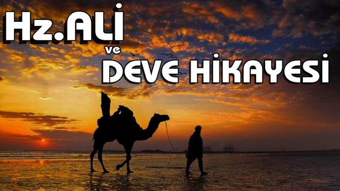 Hz. Ali’nin Deve Alışverişi Kıssası: Fedakârlık, Sabır ve Allah’ın Lütfu