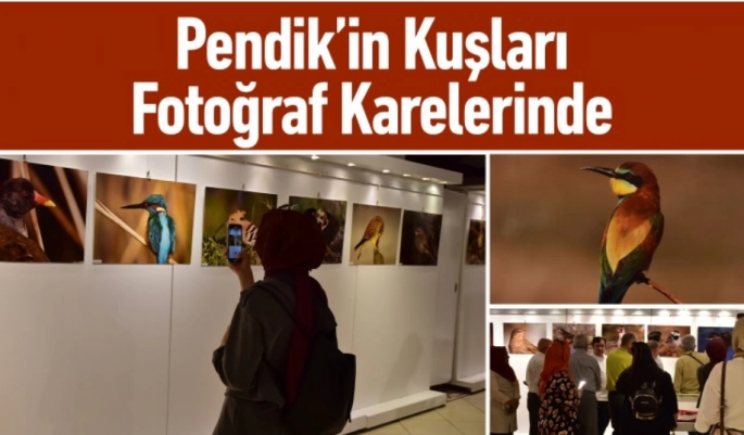 Pendik’in Kuşları Fotoğraf Sergisinde