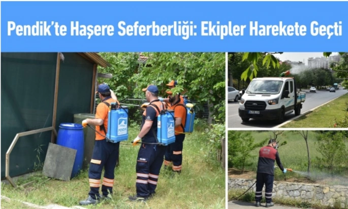 Pendik’te Haşere Seferberliği