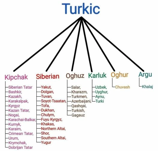 Türk Dili Dalları