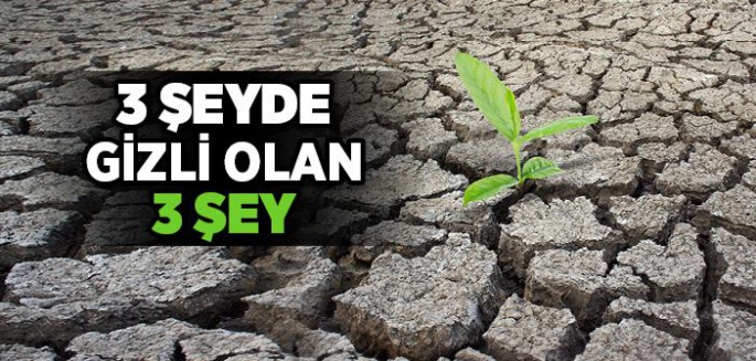 Üç Şey