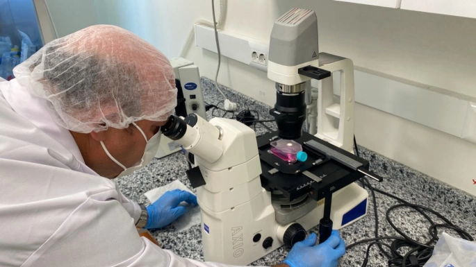 Yerli Nano Molekülle Beyin Kanseri Tedavisinde Yeni Umut